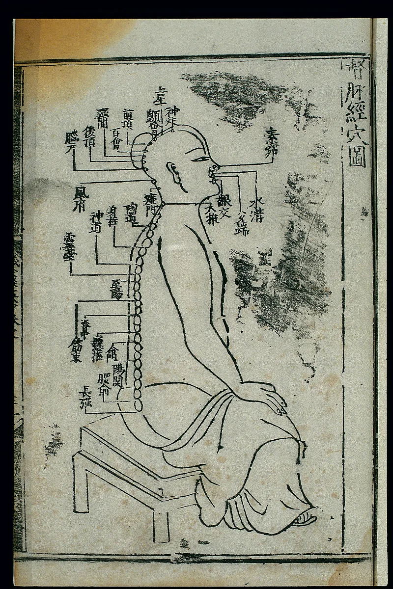 Chinese chart of the dumai or Governor Vessel: a seated figure in profile with the channel running up the spine, over the crown and down to the mouth.
