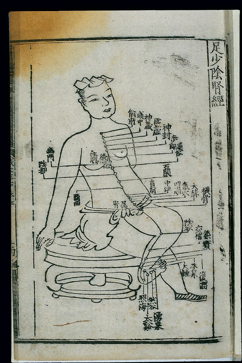 Chinese chart of the kidney channel of foot shaoyin, showing the channel running from the sole of the foot up the inside of the leg and torso.