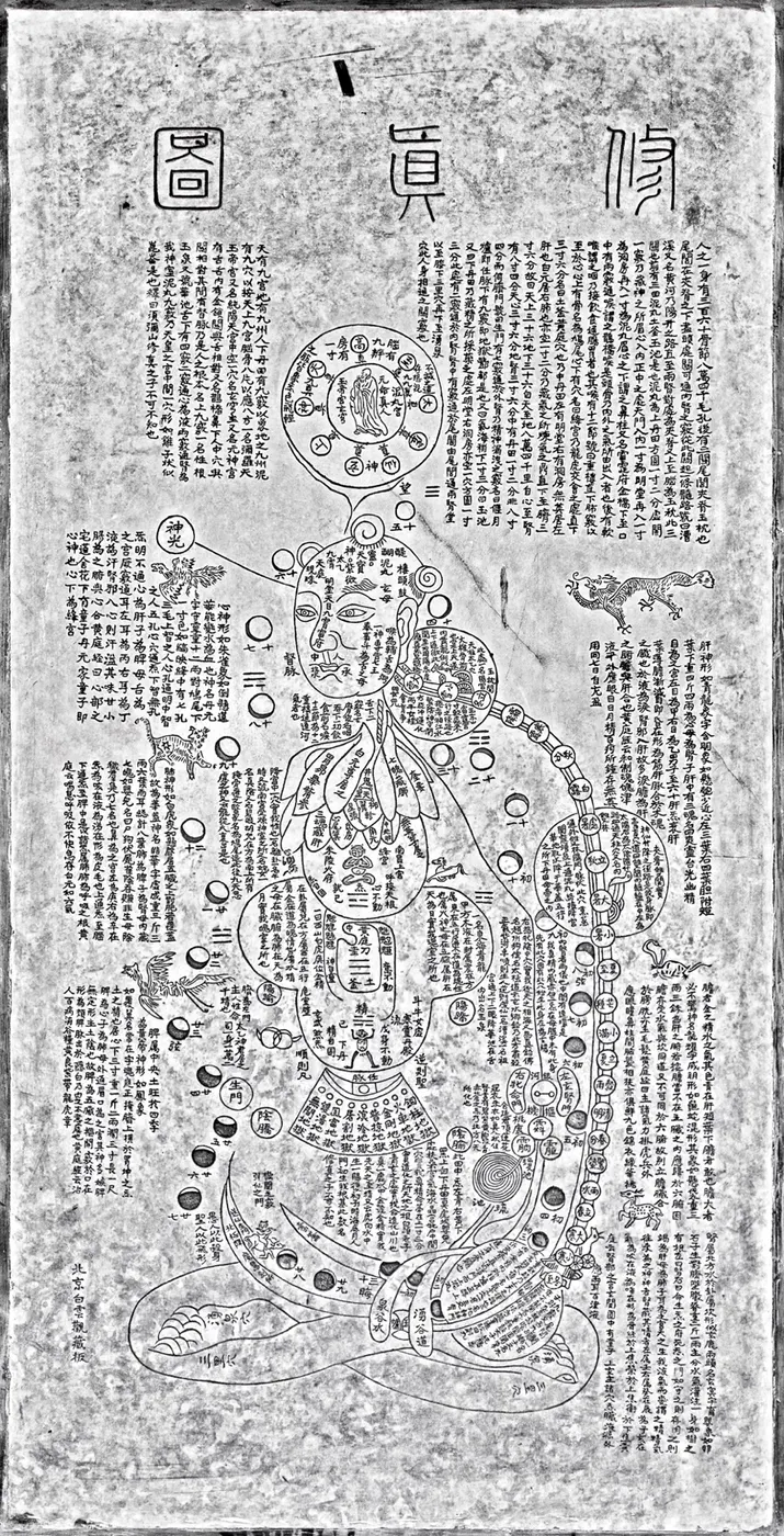 The Xiuzhen tu: a tall diagram of a seated human body seen in cross-section, packed with symbolic organs, cauldrons and channels.